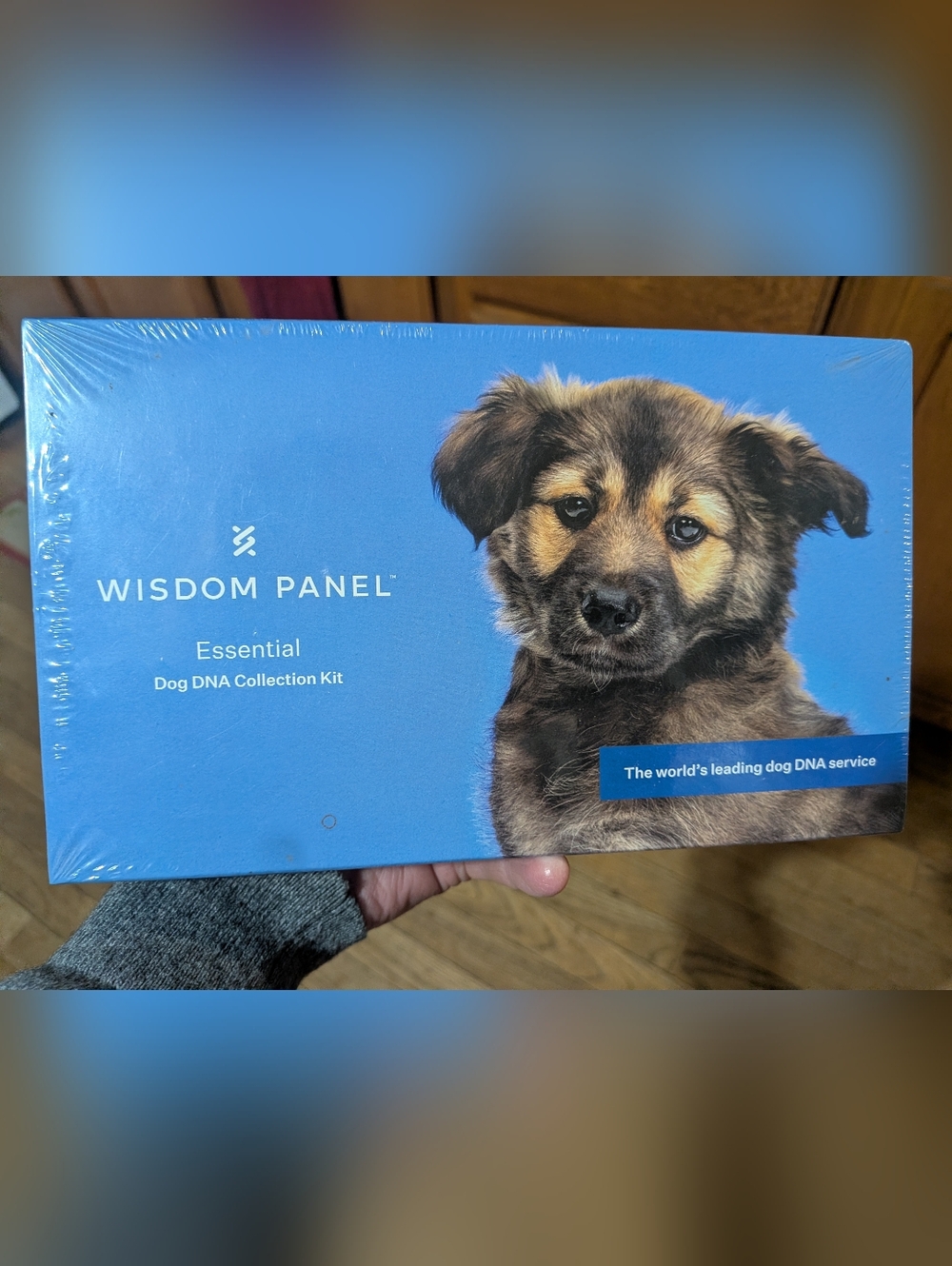 Wisdom Panel Dog DNA Test Kit